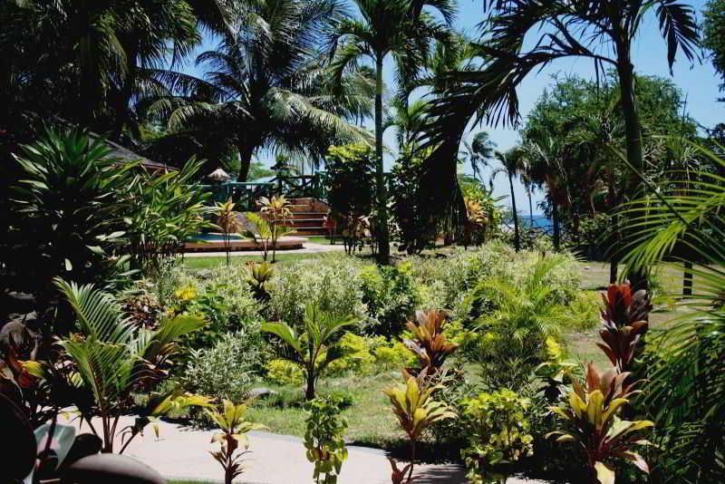 Aqua-Landia Resort Dauin Exterior foto